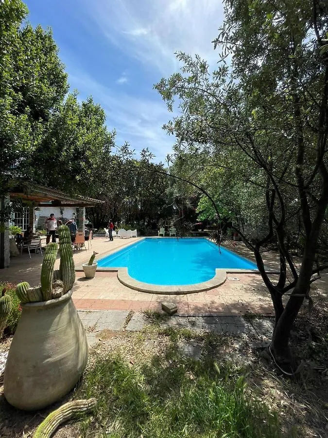 Big Relax Apartment With Swimming Pool And A Peaceful Garden In A Private Villa Sestu