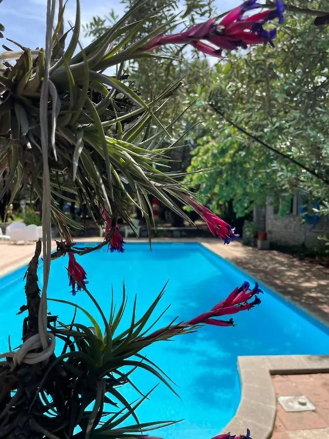 Big Relax Apartment With Swimming Pool And A Peaceful Garden In A Private Villa Sestu
